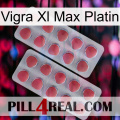 Vigra Xl Max Platinum 19